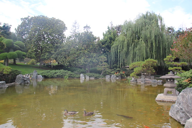 Beautifully landscaped Japanese garden.