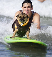 Surf Dog Surf-A-Thon - 2012