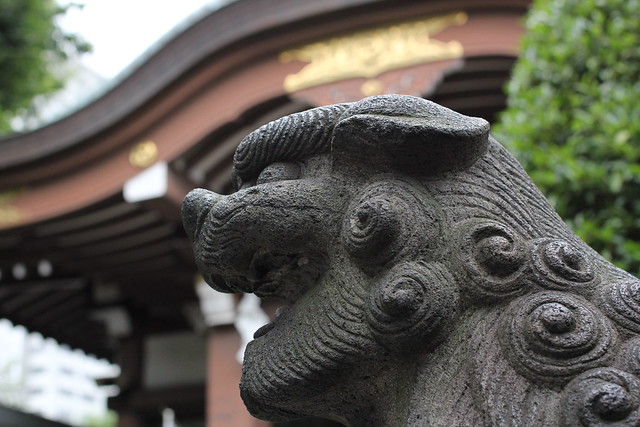白鬚神社の狛犬 (阿形)
