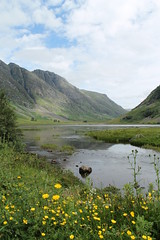 Scottish Highlands Summer 2012