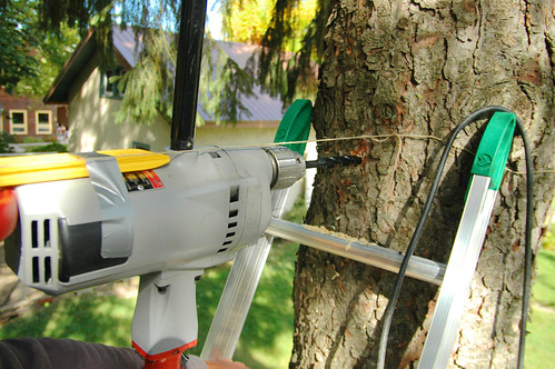 how to drill a two foot hole through a tree. I.