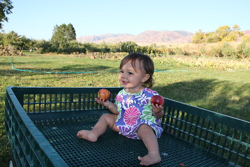 Happy baby with two apples 1