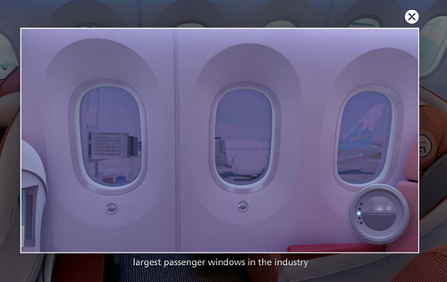 Lan 787 Window Controls