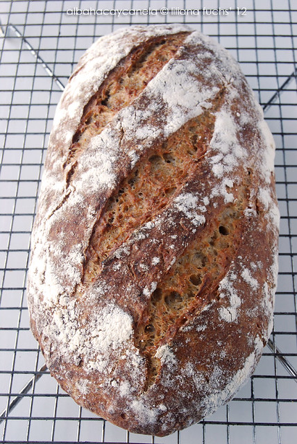 Oat and apple bread