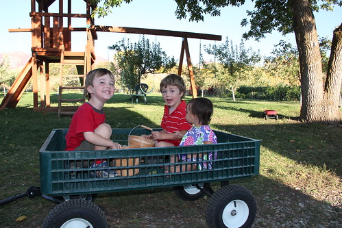 Three kids in a wagon 4