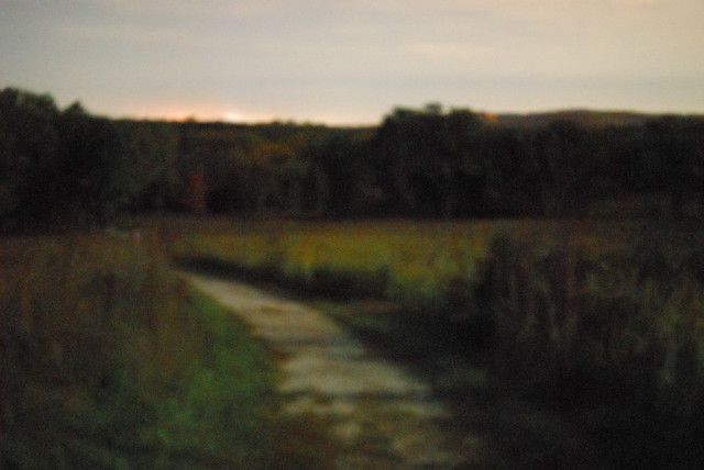 Shaw Nature Reserve (Arboretum), in Gray Summit, Missouri, USA - severely blurred and impressionistic image of prairie