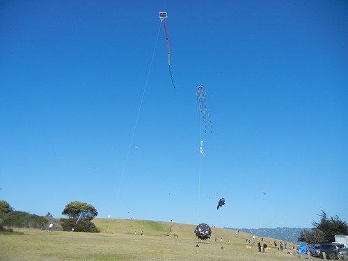 Kites at Cesar Chavez Park
