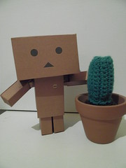 Os enseño al cactus de mi madre