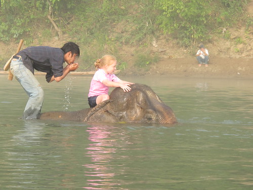 Giving an elephant a bath, Laos