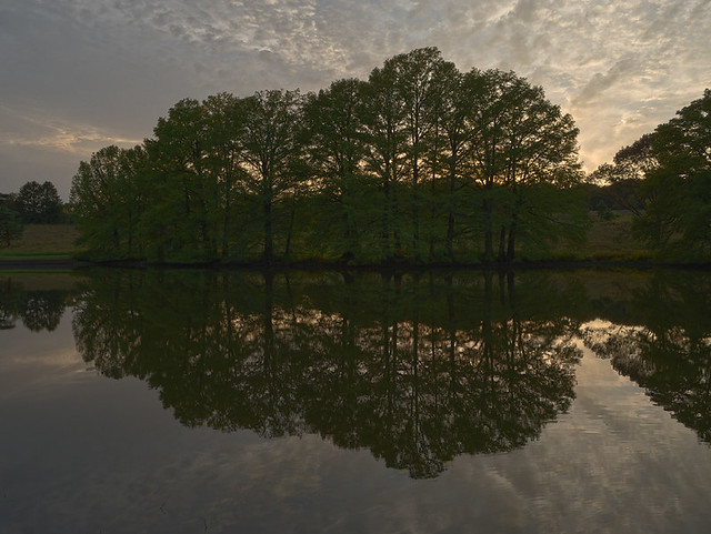 Shaw Nature Reserve (Arboretum), in Gray Summit, Missouri, USA - Trees reflected in Pinetum Lake