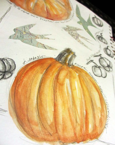 more pumpkins ~ from my sketchbook