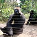 Mefou Primate Sanctuary impressions, Cameroon - IMG_2501_CR2_v1