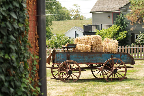 Hay wagon.