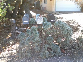 Mailboxes with succulents 9 1 12