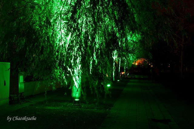 leuchtende Bäume 01