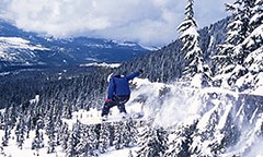 Mount Washington Alpine Resort BC