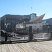 510-092312-New England Aquarium posted by Brian Whitmarsh to Flickr