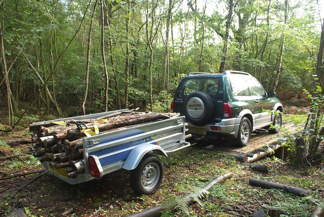 DSC_4536 Moving logs over the woodland bridge