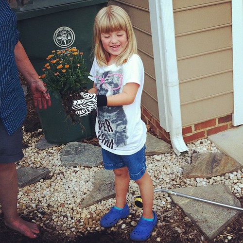 Catie the gardener. She & my mom planted chrysanthemums today.