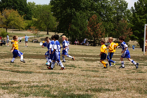 soccer-in-action