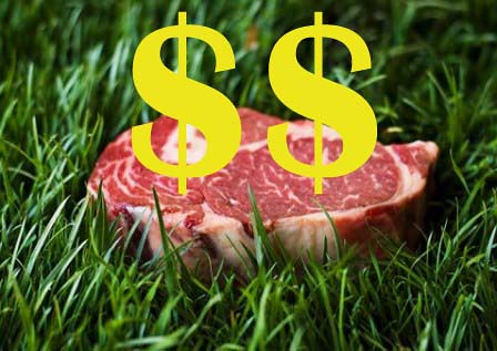 grass-fed-beef $$ copy