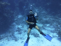 Diving around Marsa Alam