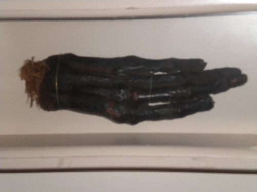 mummified hand, Old Connecticut State House museum
