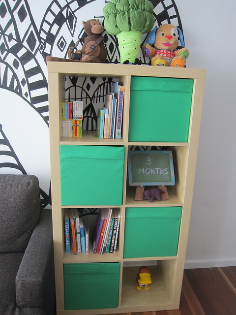 Luella's new bookcase