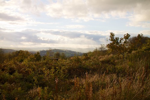 Loxley valley