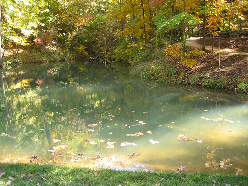 clear pond