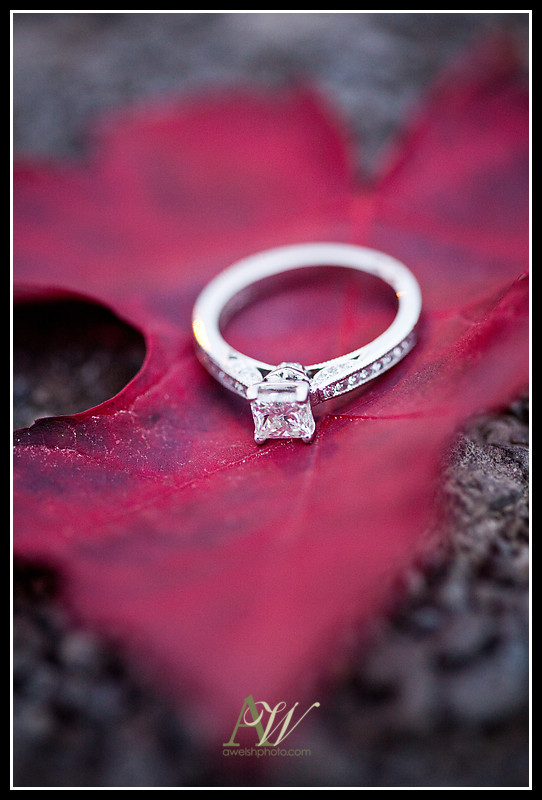 Rochester NY Engagement Wedding Photographer Andrew Welsh Unique Authentic Motorcycle Park Sonnenberg Harley Bike