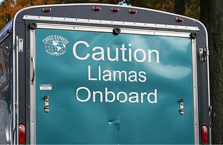 I didn't realize llamas warranted a warning.