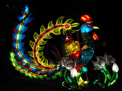Magic of lanterns 2012