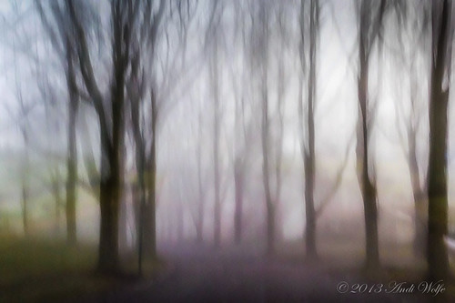ICM: my foggy street by andiwolfe