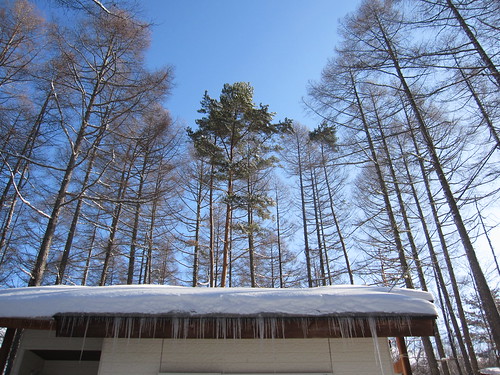 屋根の雪もたっぷり・・ by Poran111