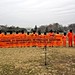 Guantánamo protestors in front of the White House
