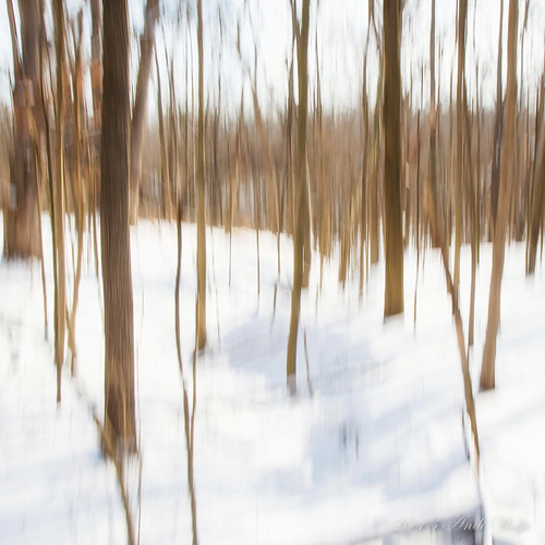 ICM. Snowy Day by andiwolfe