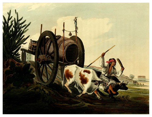 003a-Transporte de agua-Picturesque illustrations of Buenos Ayres and Monte Video..-1820- Emeric Essex Vidal