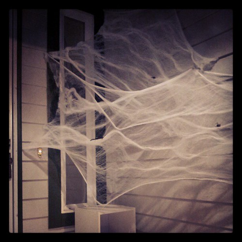 We have a cobweb problem. #Halloween