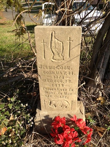 Cook Family Cemetery Shreveport Caddo Parish by louisianacemeteries