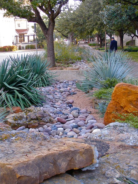 Xeriscape, Texas Style | Flickr - Photo Sharing!