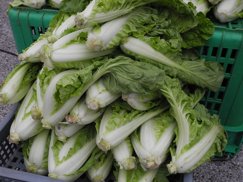 氮元素雖為蔬菜重要養分，但是過度施肥會讓硝酸鹽累積在蔬菜中，也會破壞環境。