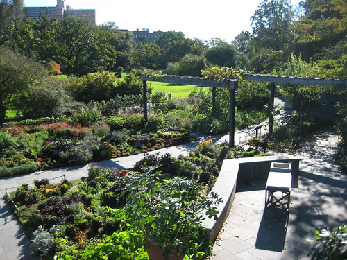 Herb Garden from Platform