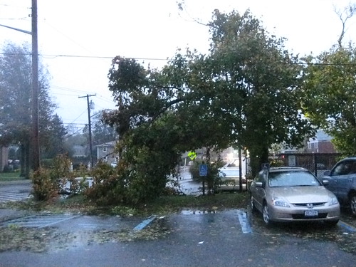 Hurricane Sandy: Long Island