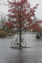 Bicycle Island by eclectic echoes on FlickR, http://www.flickr.com/photos/eclectic-echoes/8150757756/sizes/s/