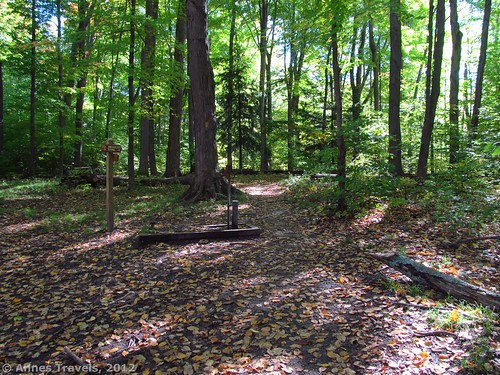 The trail behind the pump (Mohawk cabin is to the left), Webster Park, New York