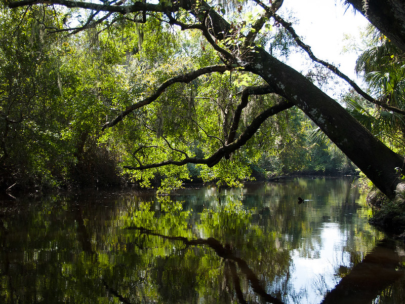 Canoe Outpost - Little Manatee River