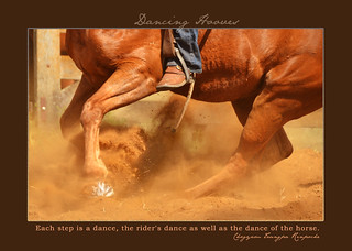 2013 may dancing hooves e
