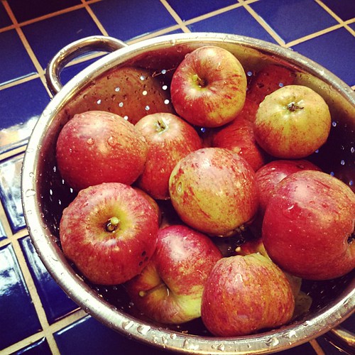 from the backyard. (!!!!) baked apples tonight! oh, yeah.