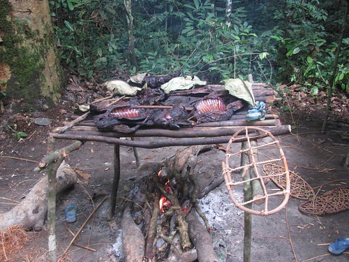meat drying in poacher's camp